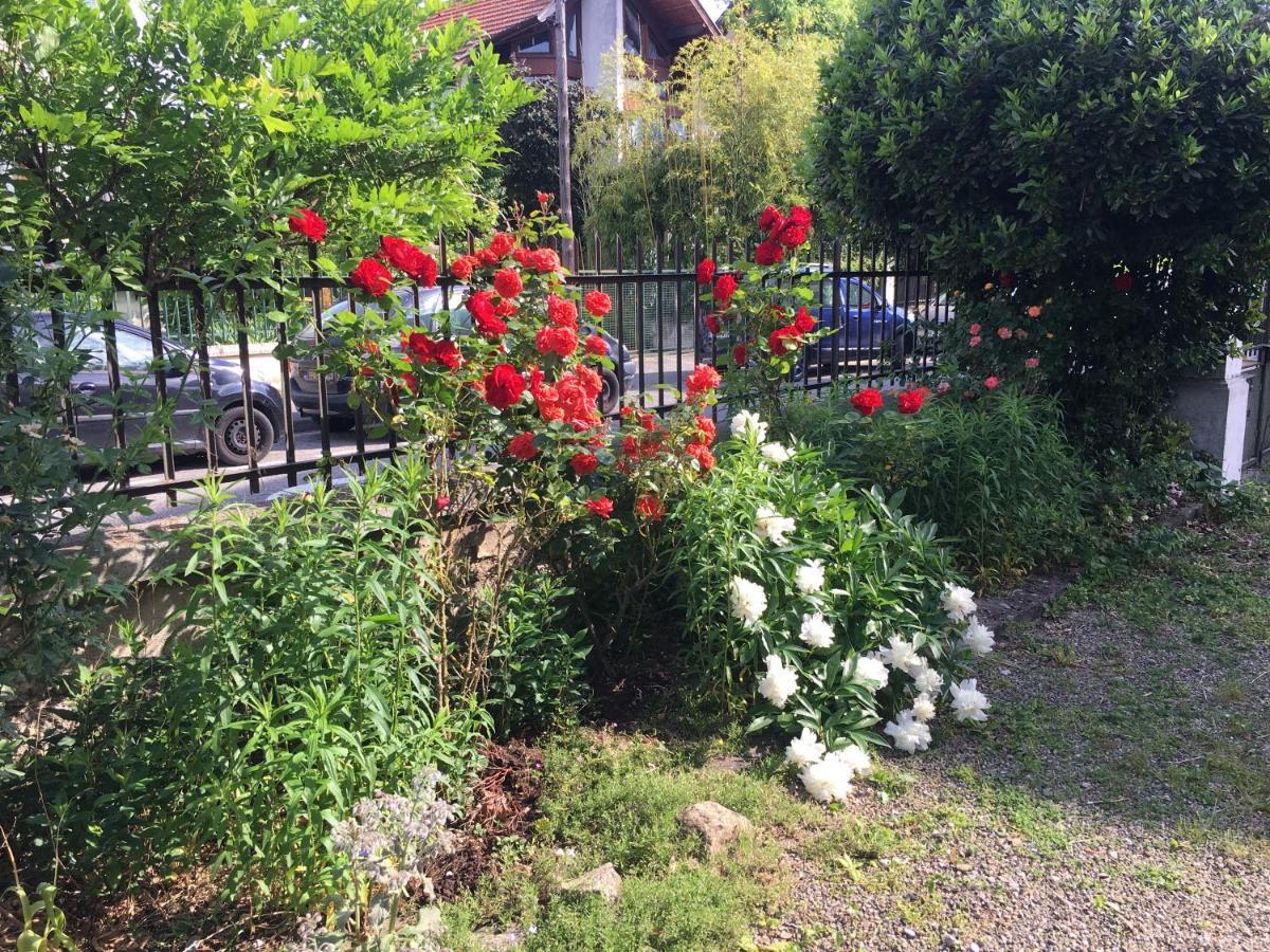 Le Catalpa - Centre Ville, Jardin & Parking! Annecy Exterior foto